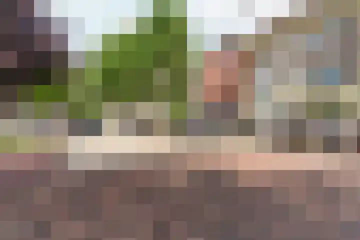 Nieuwe Markt 12 Nijmegen thumbnail 55
