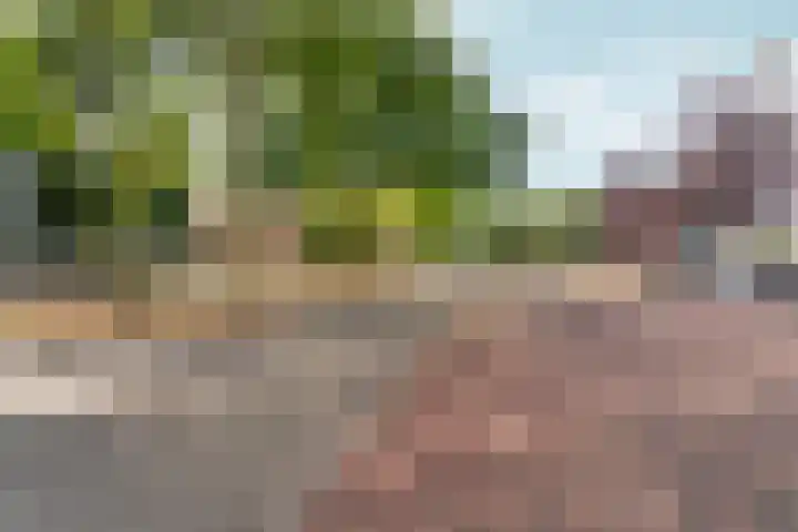 Nieuwe Markt 12 Nijmegen thumbnail 58