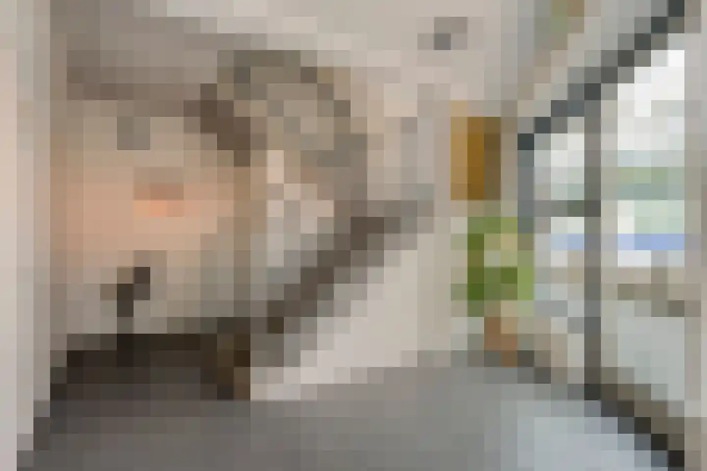 Nieuwe Markt 14 Raalte thumbnail 10