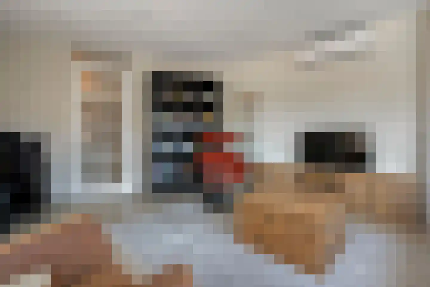 Nieuwe Markt 14 Raalte thumbnail 16