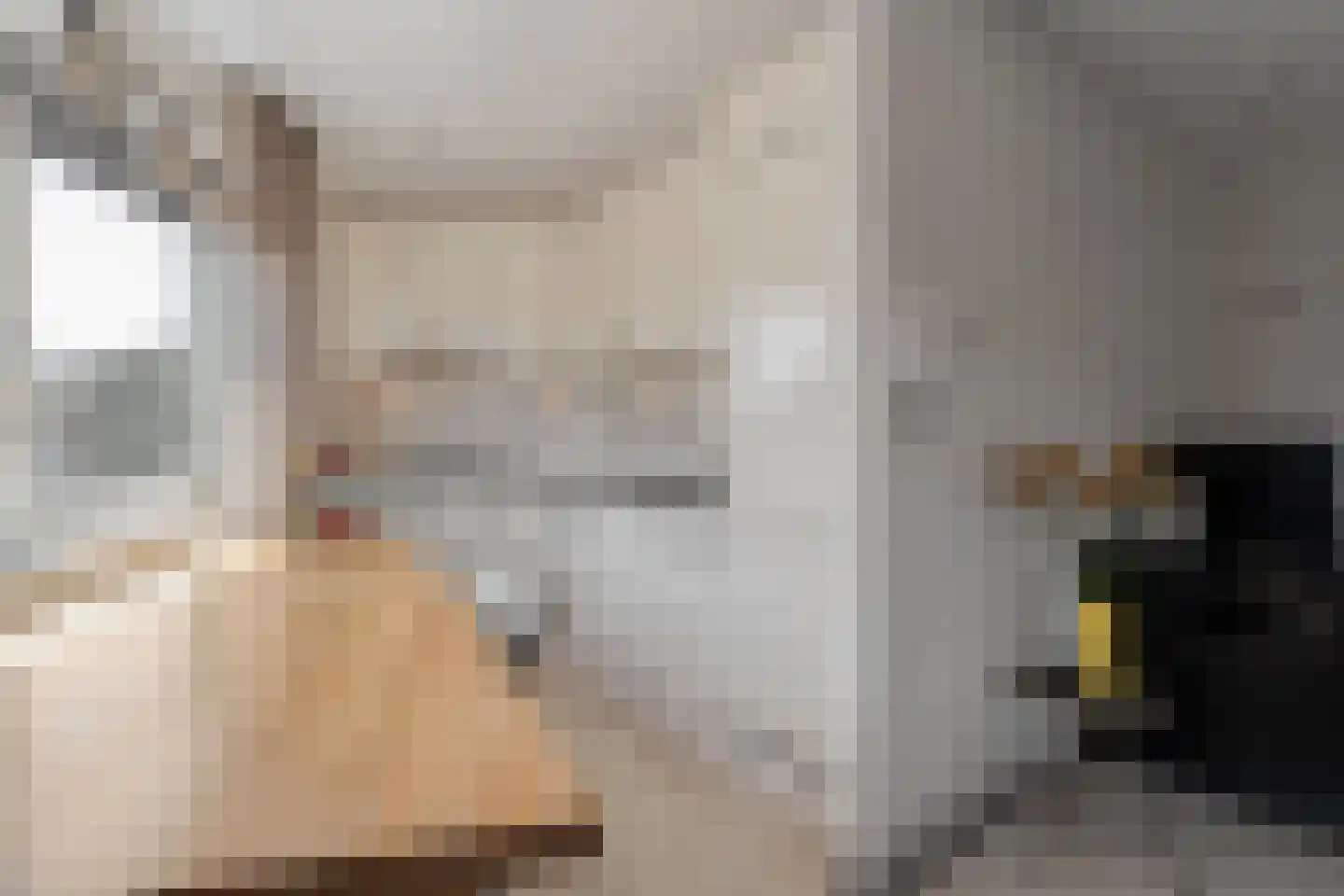 Nieuwe Markt 14 Raalte thumbnail 19