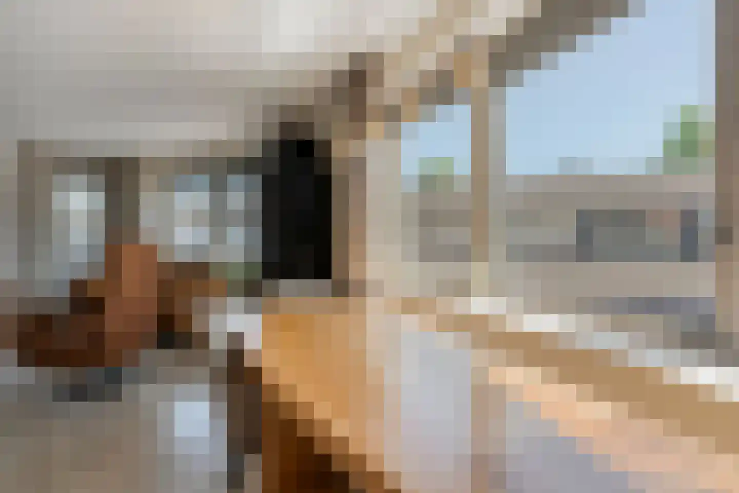 Nieuwe Markt 14 Raalte thumbnail 22