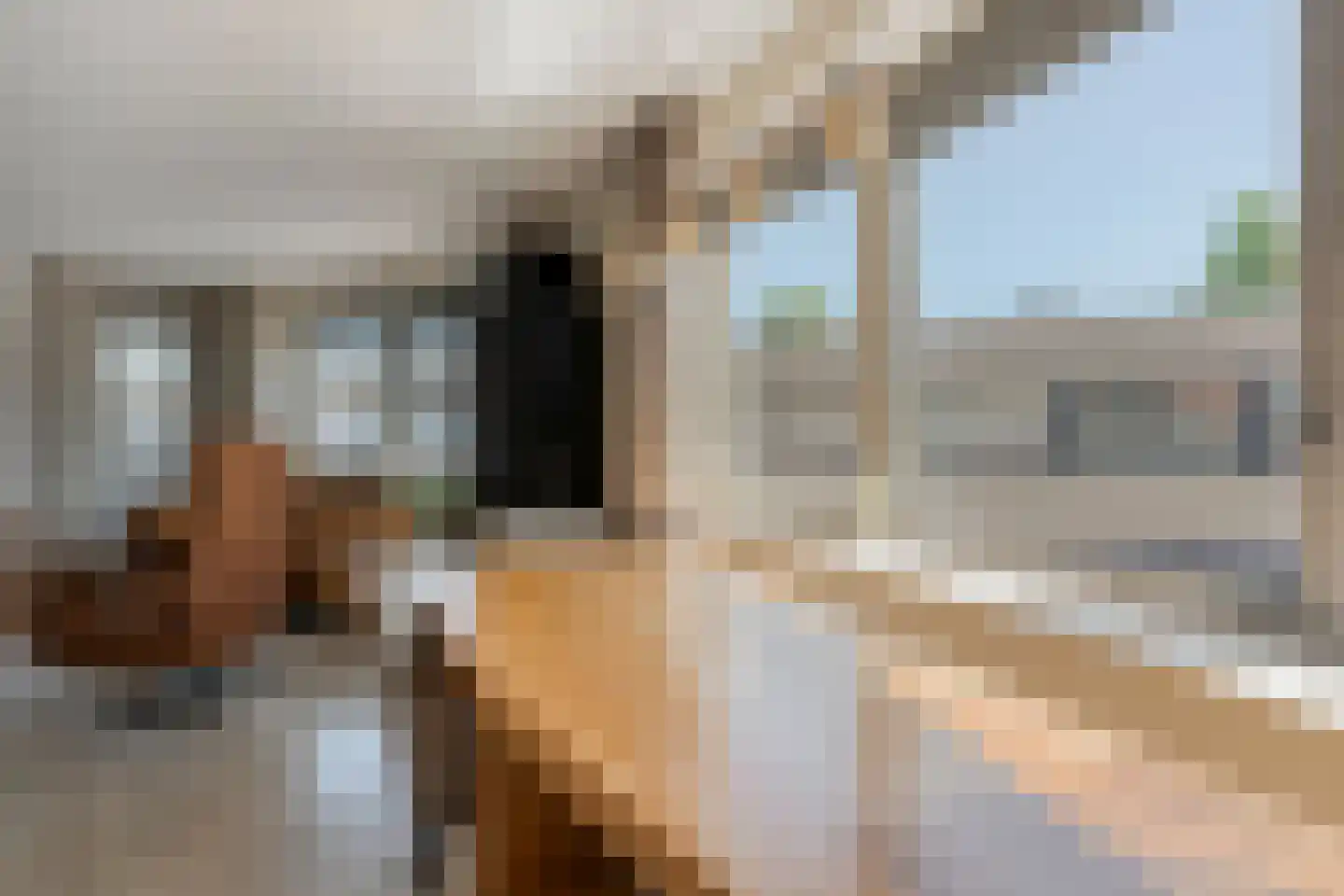 Nieuwe Markt 14 Raalte thumbnail 22