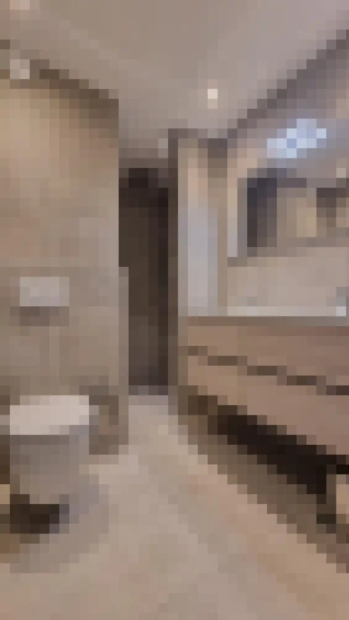 Nieuwe Markt 15 Groningen thumbnail 6