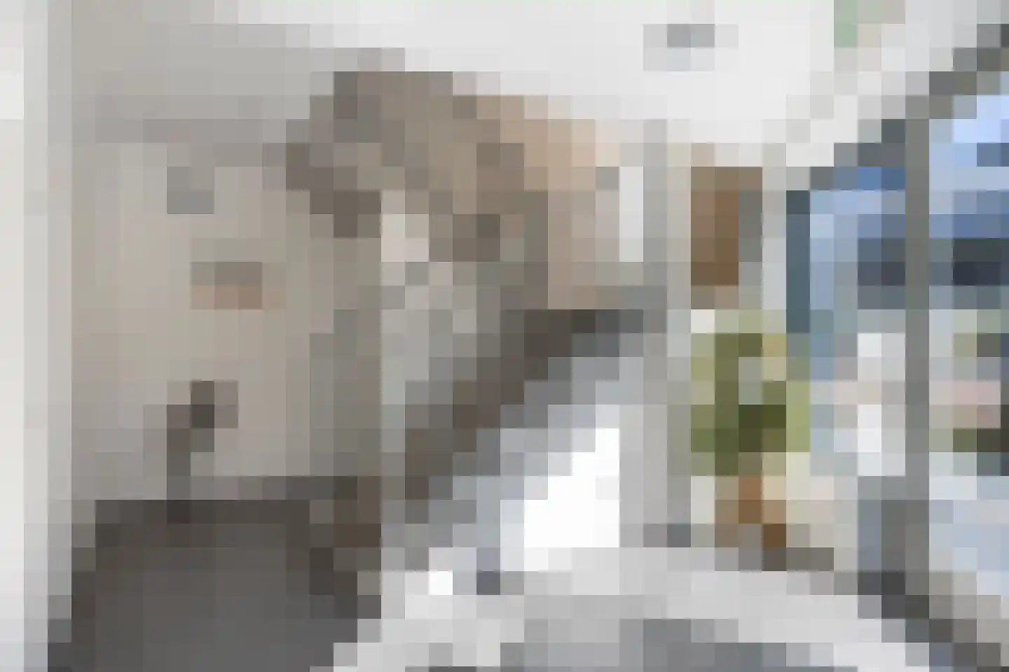 Nieuwe Markt 18 Raalte thumbnail 25