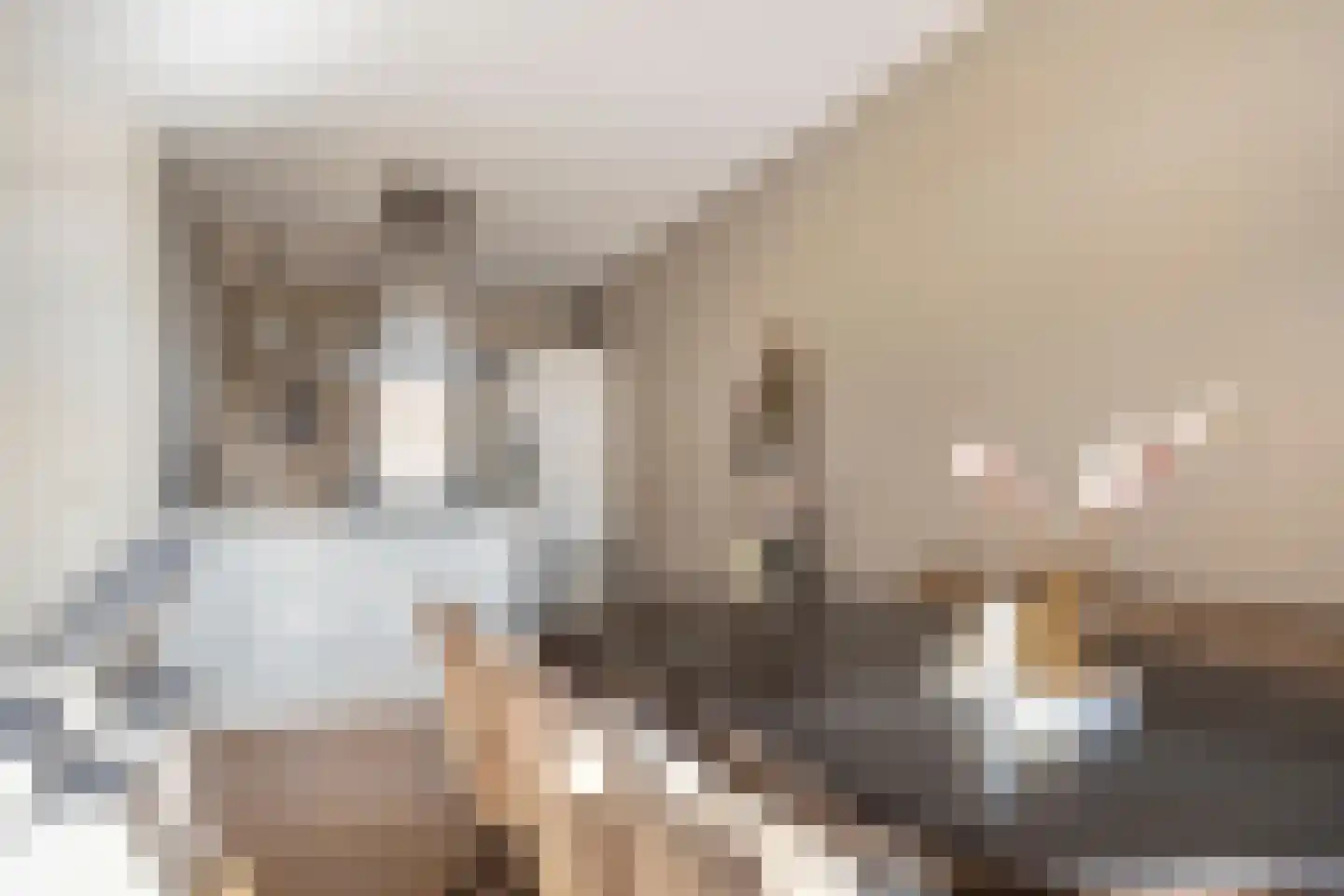 Nieuwe Markt 18 Raalte thumbnail 8