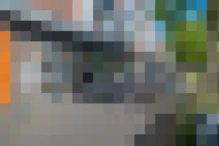 Nieuwe Markt 21 Echt thumbnail 28