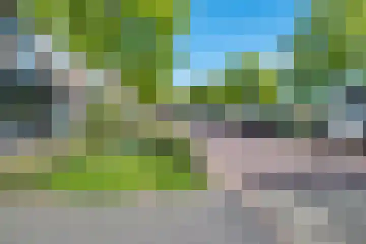 Nieuwe Markt 21 Echt thumbnail 32