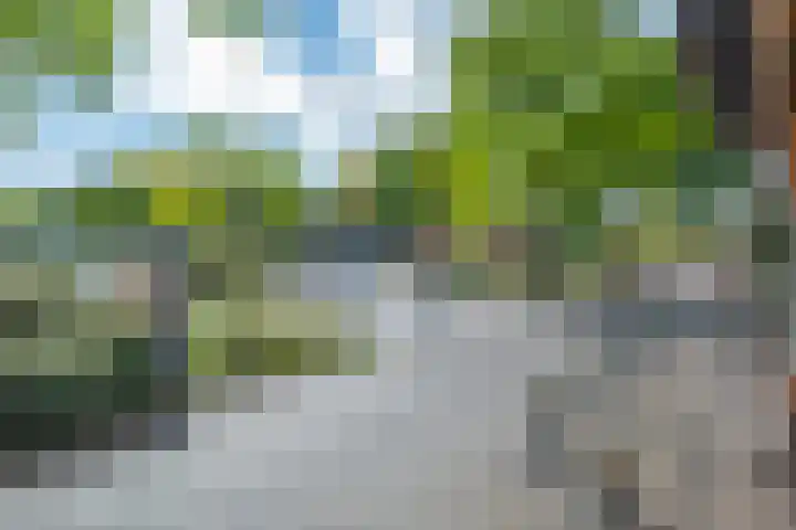 Nieuwe Markt 21 Echt thumbnail 33