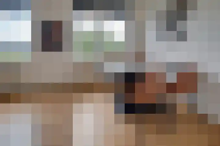 Nieuwe Markt 21 Echt thumbnail 9