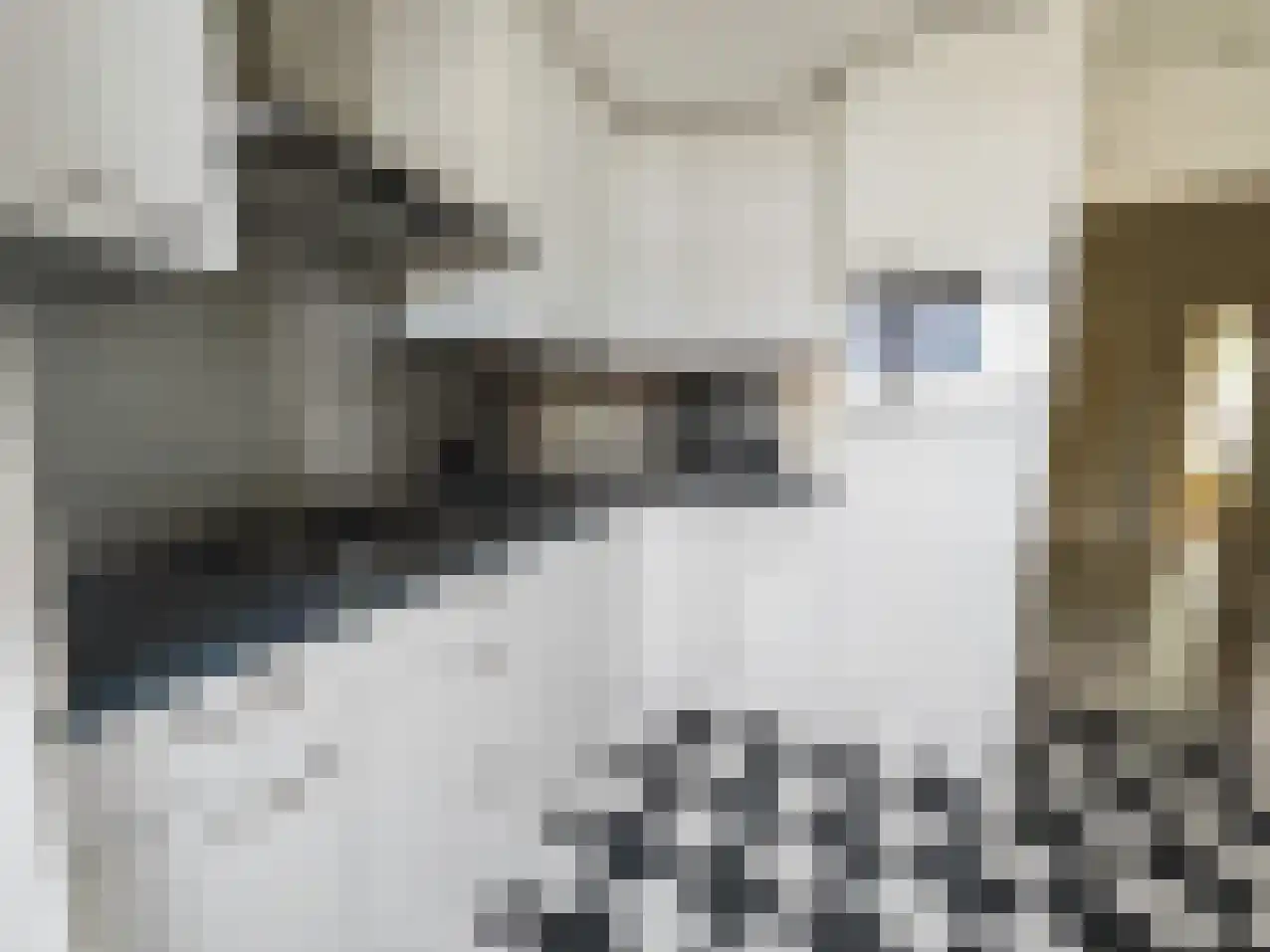 Nieuwe Markt 24 Echt thumbnail 9