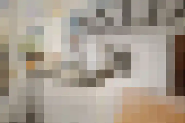 Nieuwe Markt 29 Deventer thumbnail 17