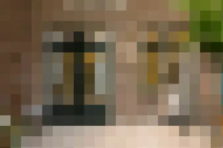 Nieuwe Markt 29 Deventer thumbnail 24