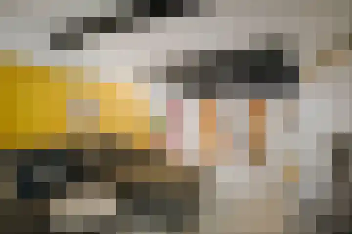 Nieuwe Markt 29 Deventer thumbnail 27