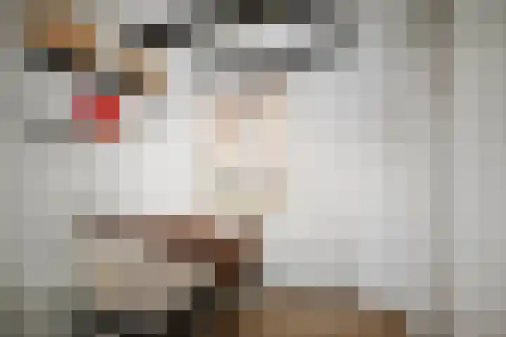 Nieuwe Markt 29 Deventer thumbnail 36