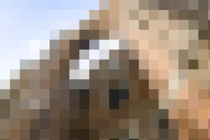 Nieuwe Markt 29 Deventer thumbnail 45