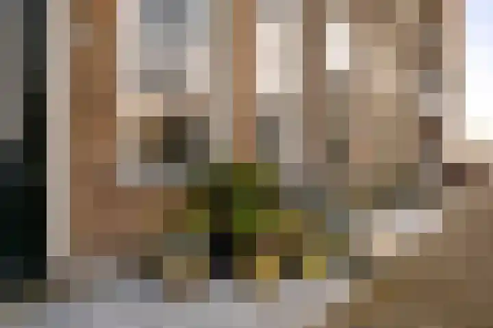 Nieuwe Markt 29 Deventer thumbnail 5