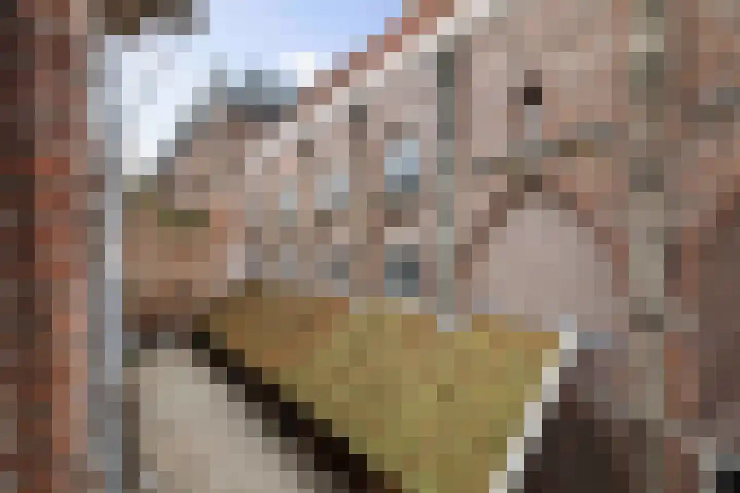 Nieuwe Markt 32 A Deventer thumbnail 16