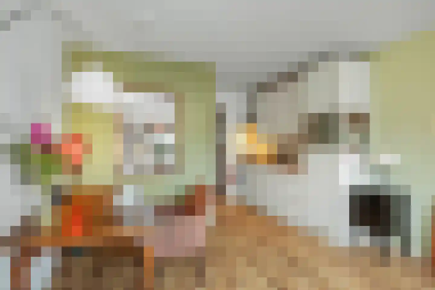Nieuwe Markt 32 A Deventer thumbnail 4