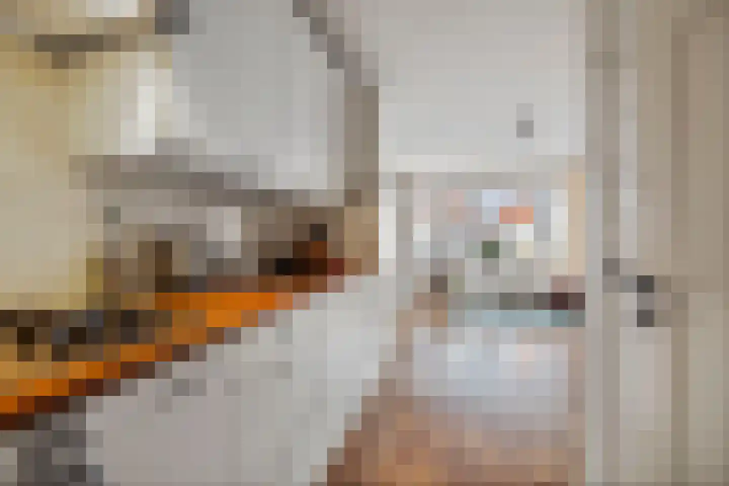 Nieuwe Markt 32 A Deventer thumbnail 8