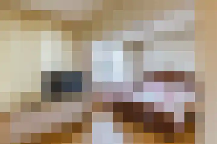 Nieuwe Markt 35 Echt thumbnail 17