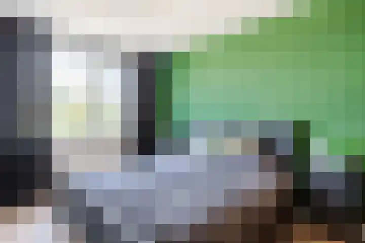 Nieuwe Markt 36 Echt thumbnail 18