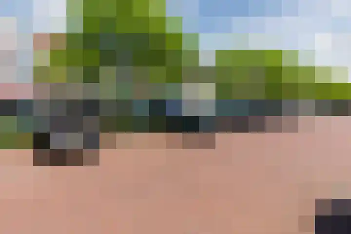 Nieuwe Markt 36 Echt thumbnail 28