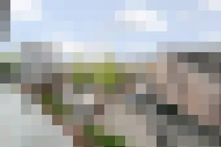 Nieuwe Markt 37 B Roosendaal thumbnail 19