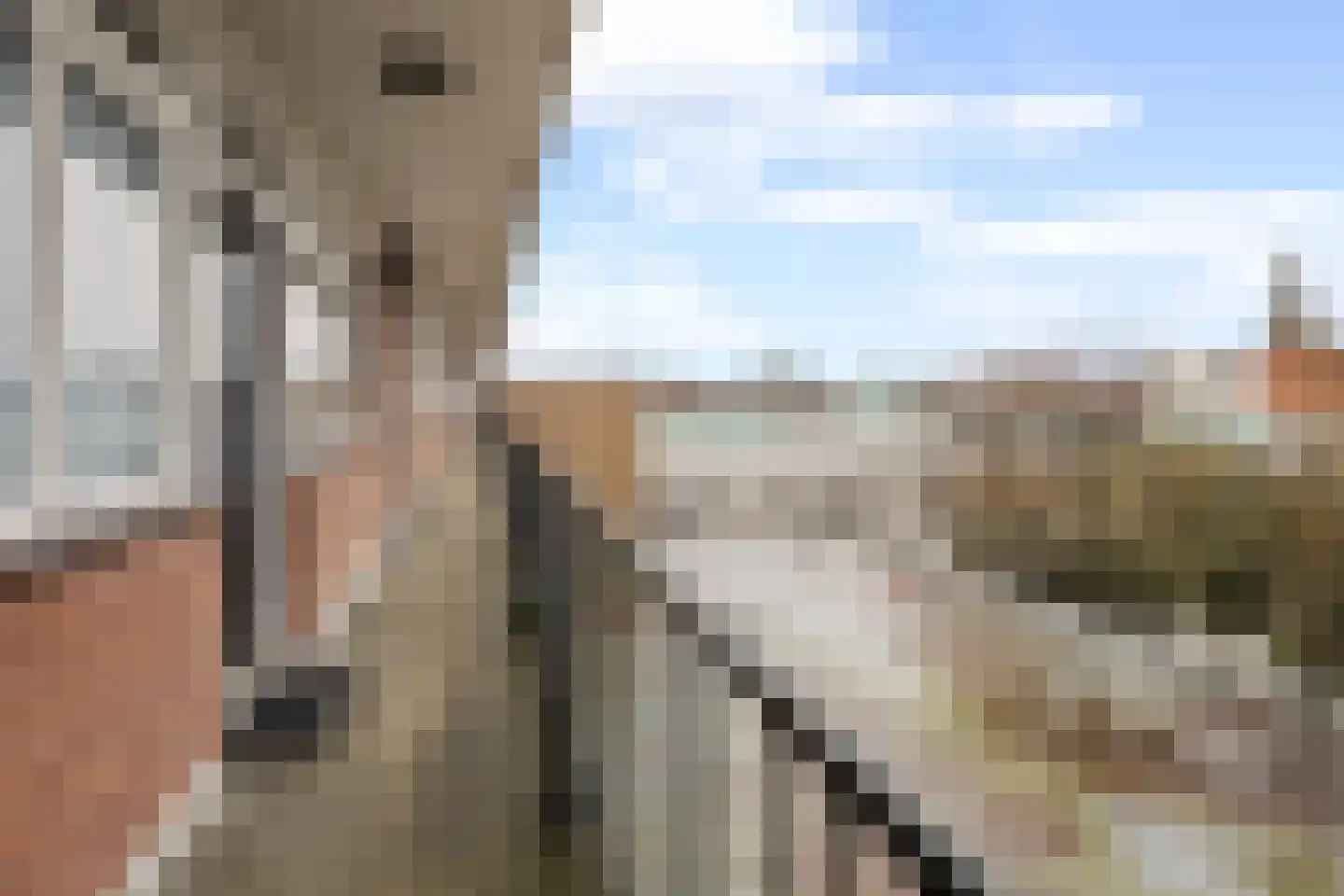 Nieuwe Markt 39 C Roosendaal thumbnail 22