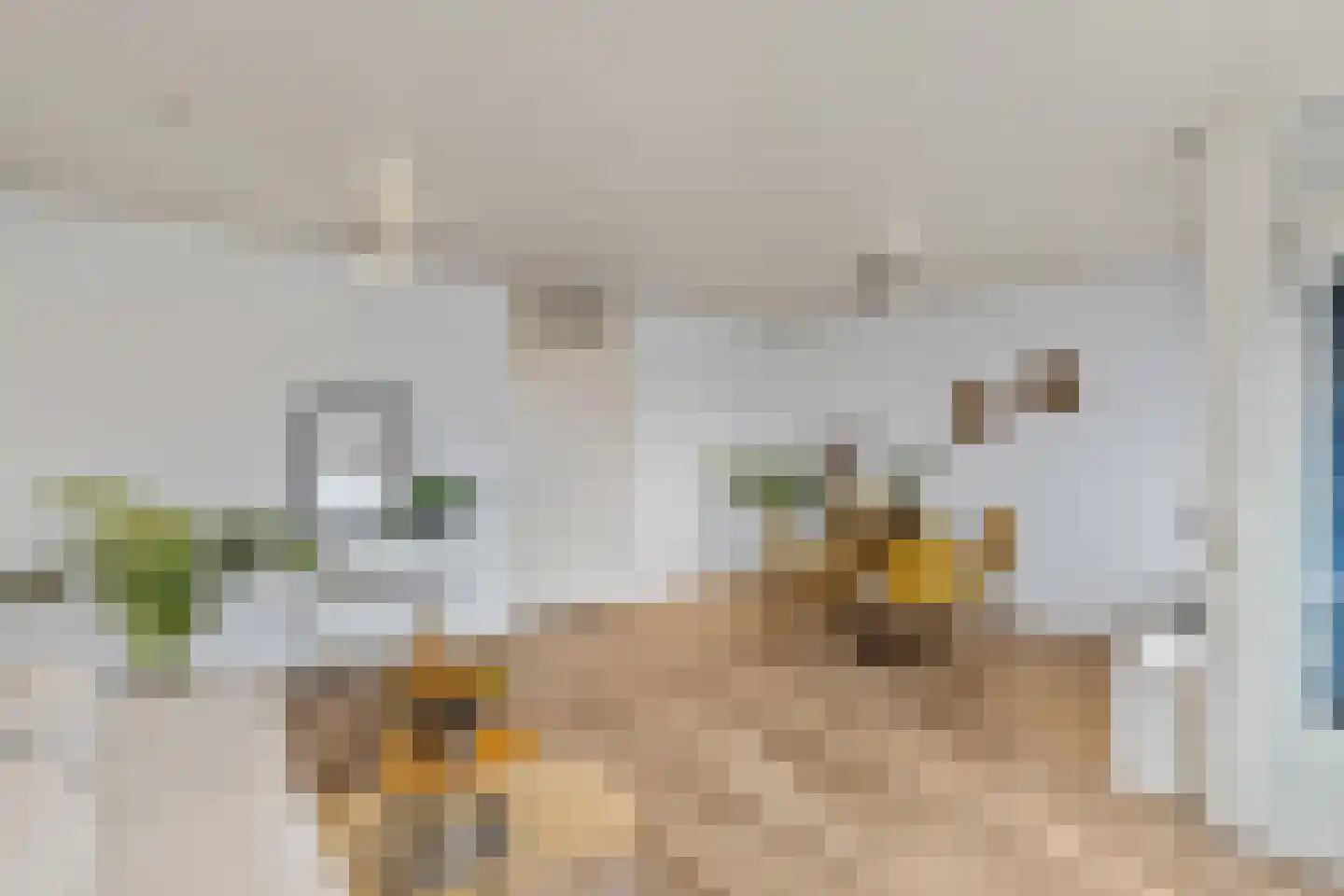 Nieuwe Markt 39 C Roosendaal thumbnail 5