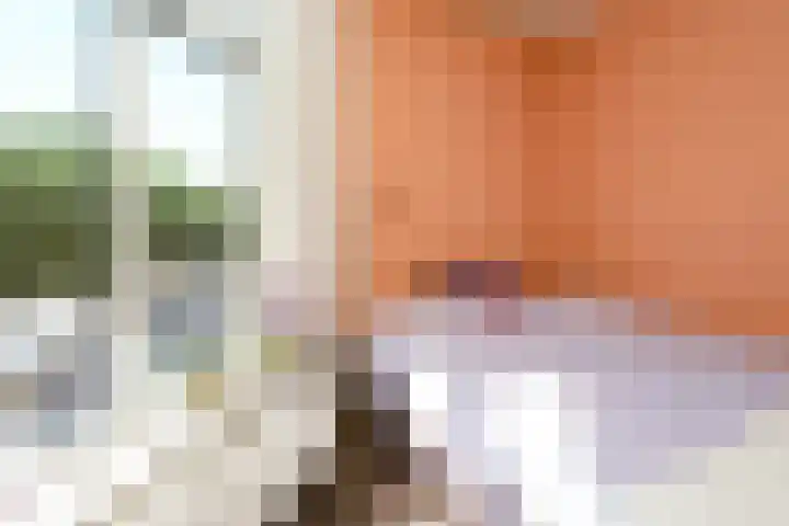 Nieuwe Markt 4 B Nijmegen thumbnail 14