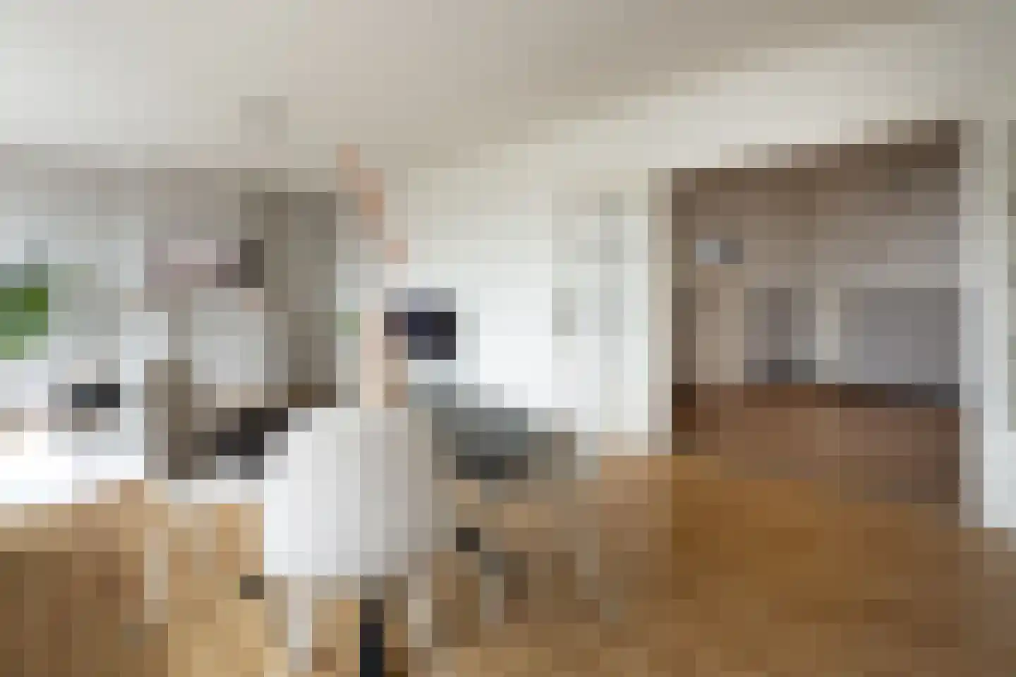 Nieuwe Markt 51 b Roosendaal thumbnail 4