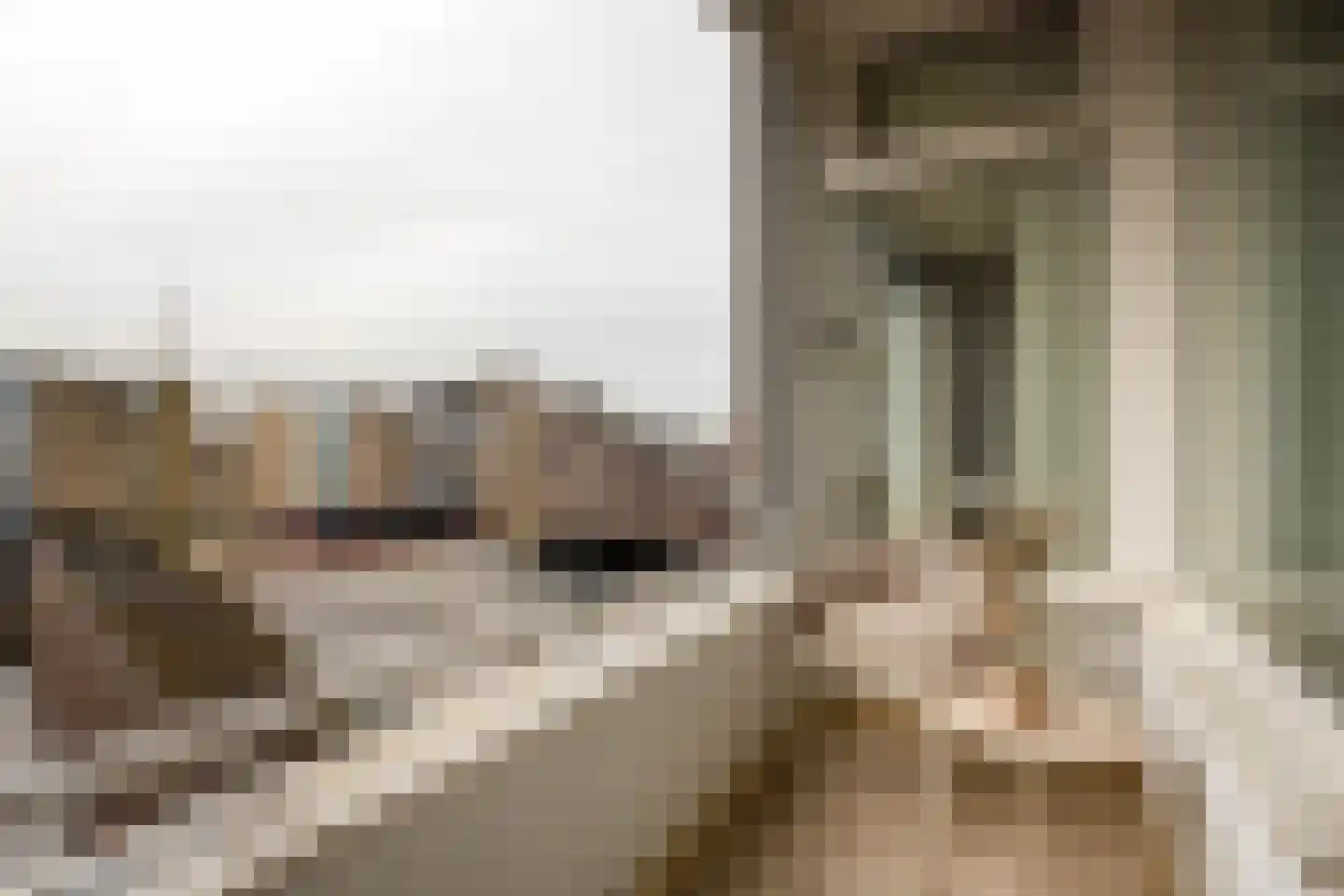 Nieuwe Markt 51 b Roosendaal thumbnail 7