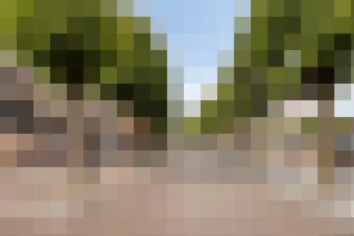 Nieuwe Markt 51 Uden thumbnail 24