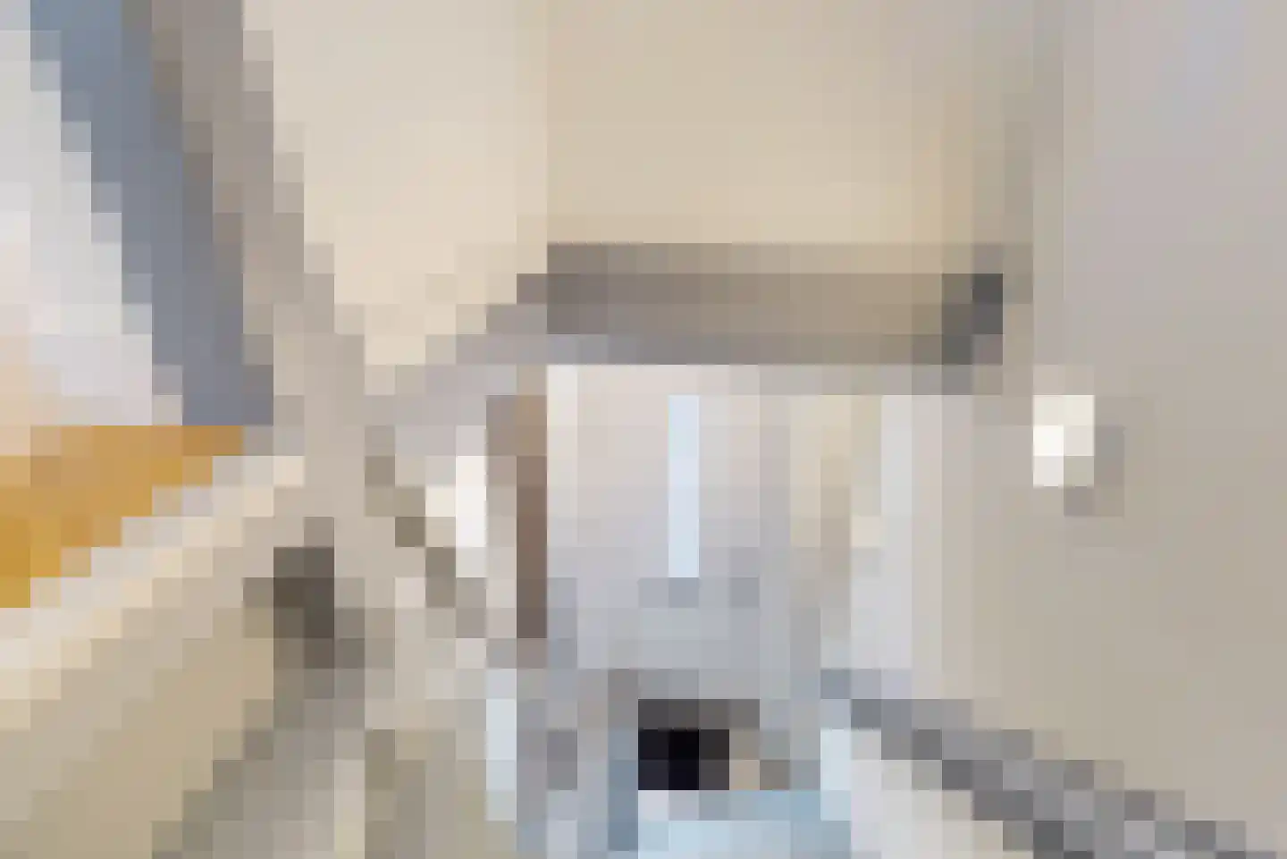 Nieuwe Markt 6 Bodegraven thumbnail 20