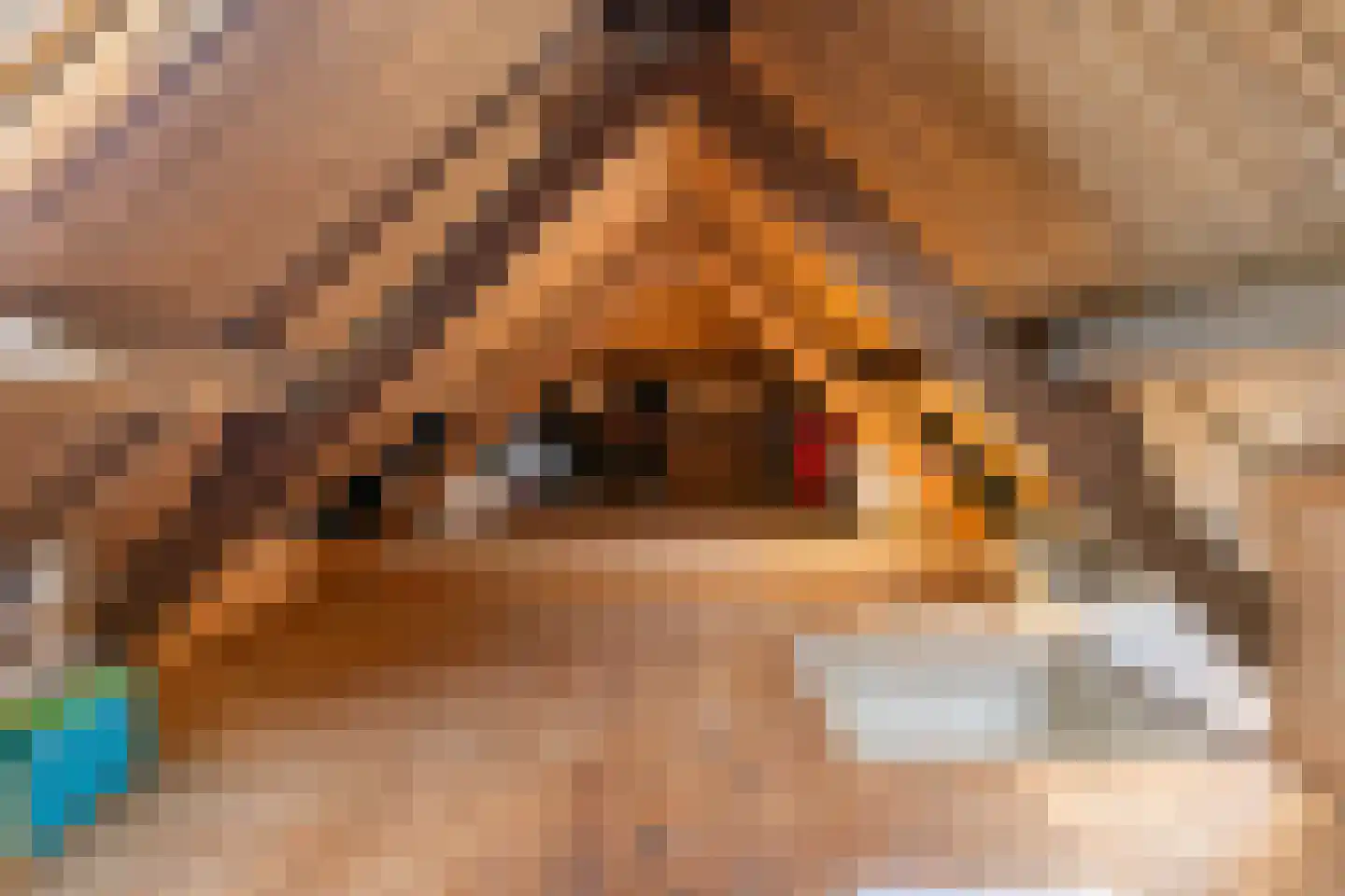 Nieuwe Markt 6 Woerden thumbnail 26