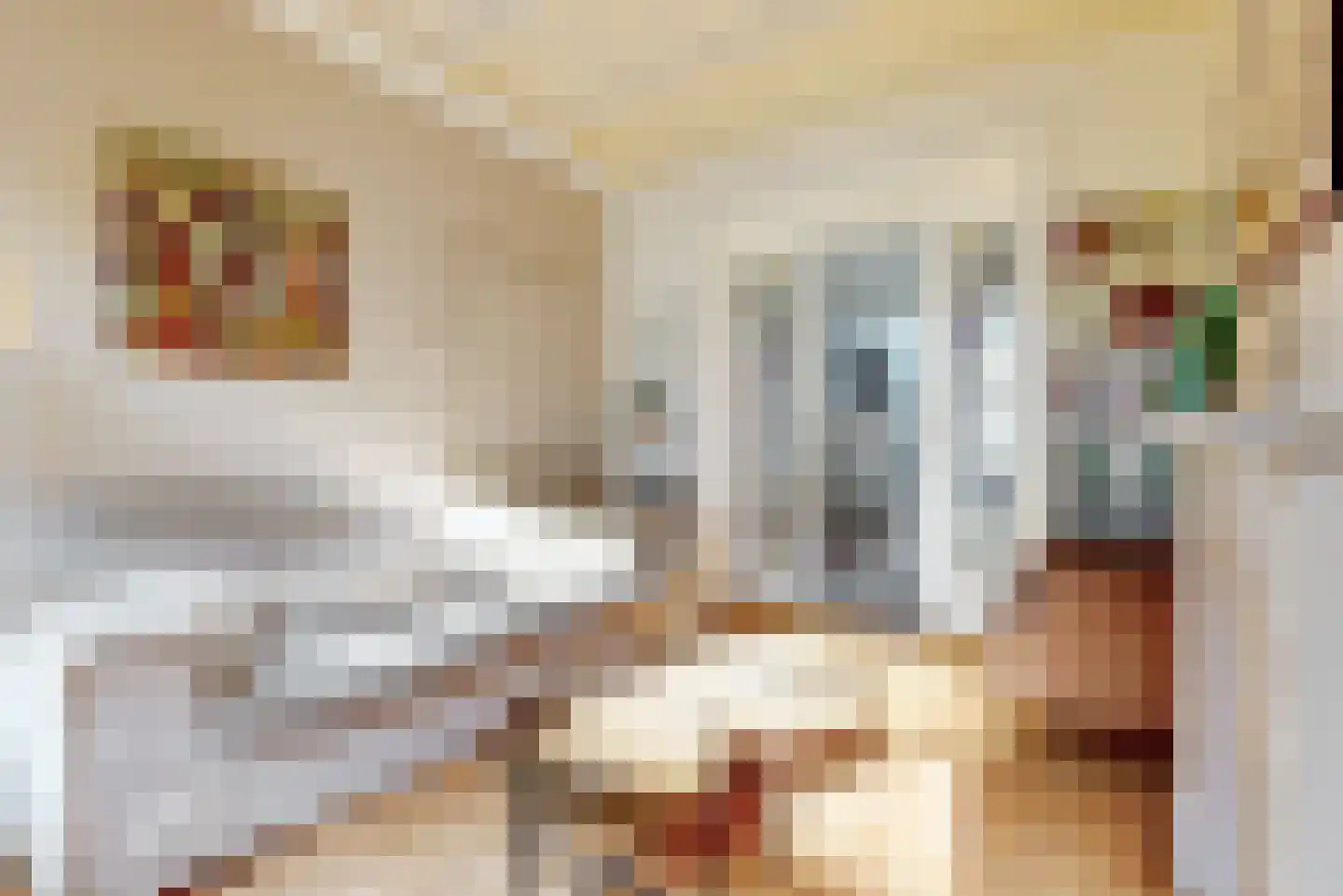 Nieuwe Markt 6 Woerden thumbnail 7