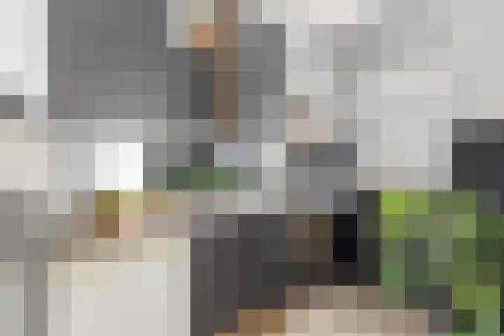 Nieuwe Markt 66 b Roosendaal thumbnail 23