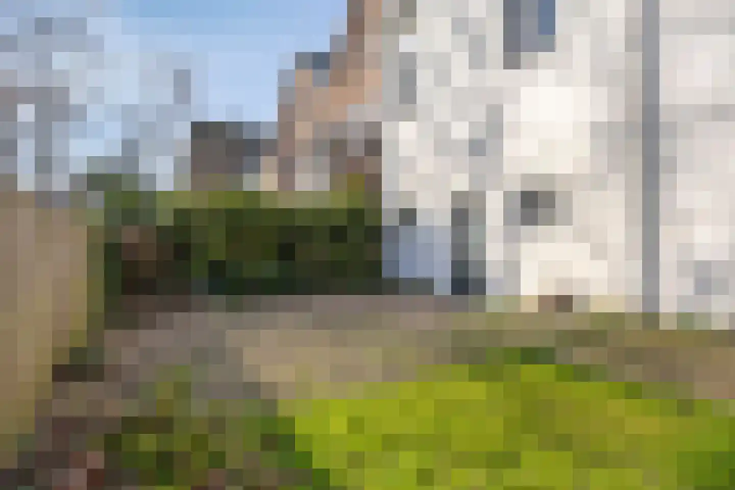 Nieuwe Markt 72 Nijmegen thumbnail 26