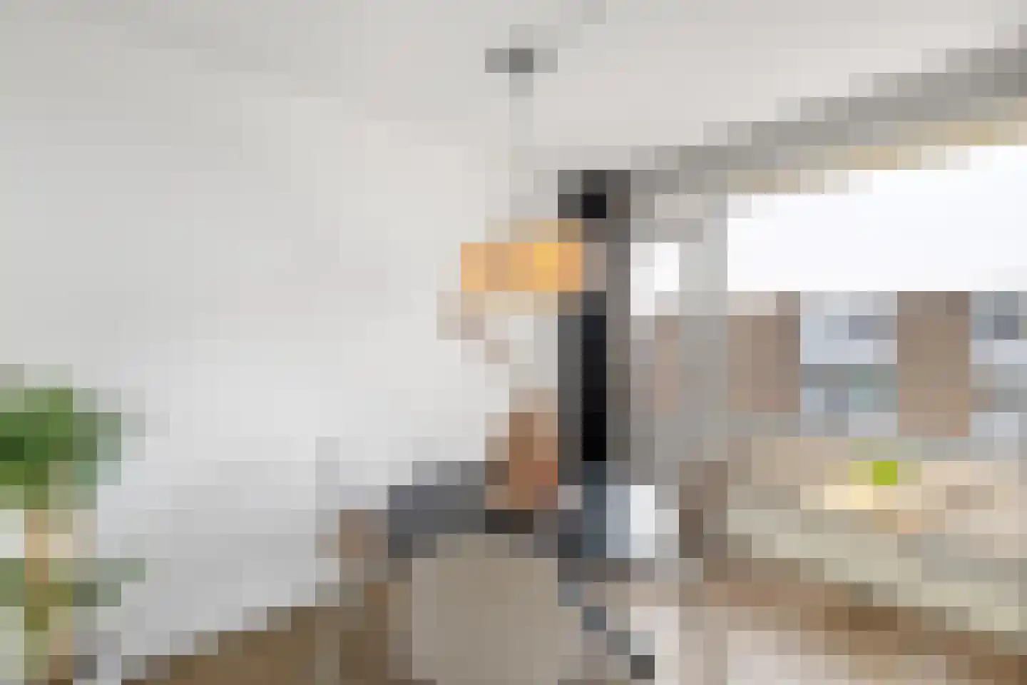 Nieuwe Markt 73 c Roosendaal thumbnail 9