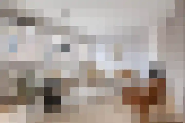 Nieuwe Markt 79 Gouda thumbnail 14