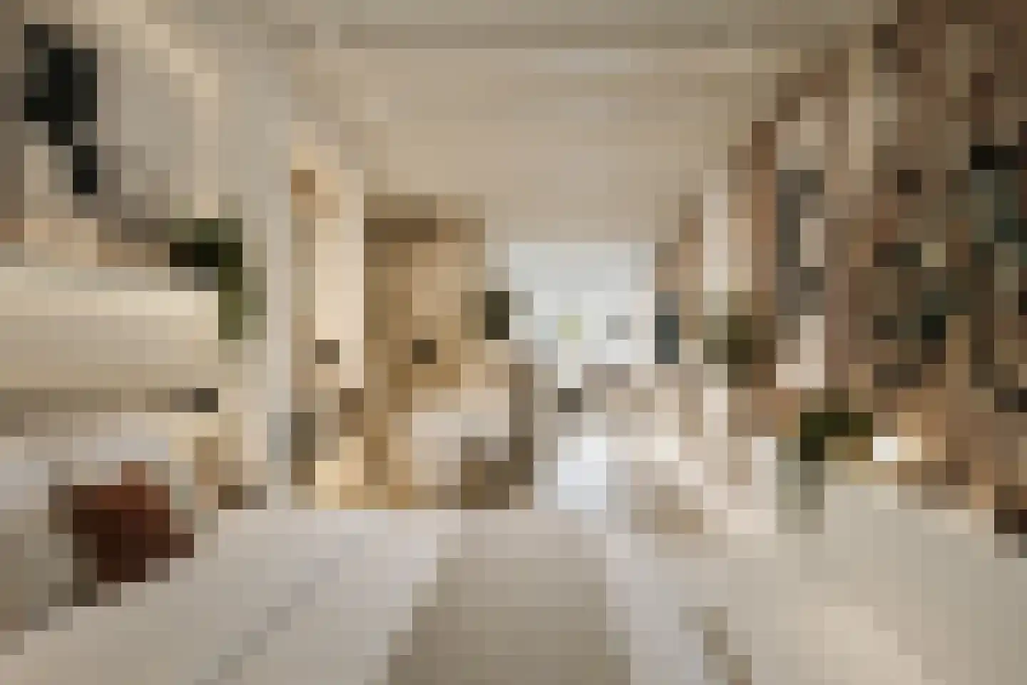 Nieuwe Markt 8 Deventer thumbnail 10