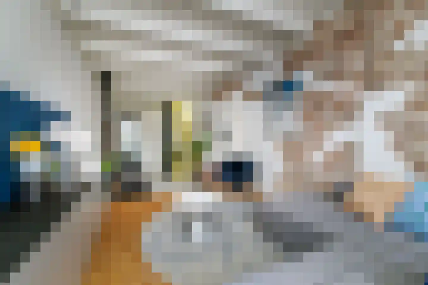 Nieuwe Markt 8 Deventer thumbnail 24