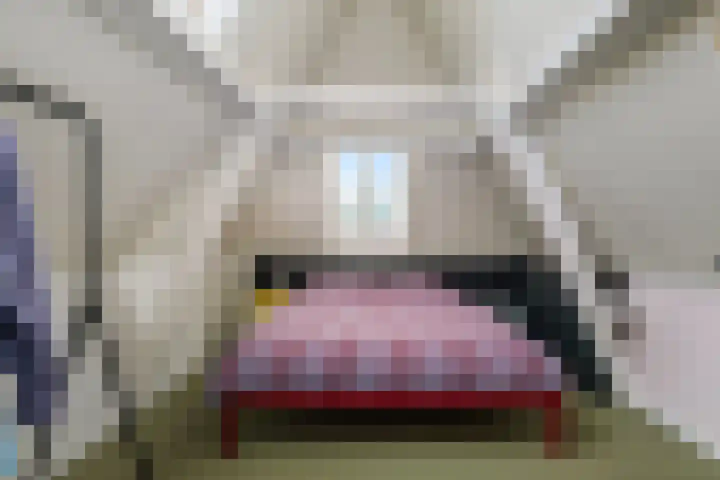 Nieuwe Markt 8 Deventer thumbnail 32