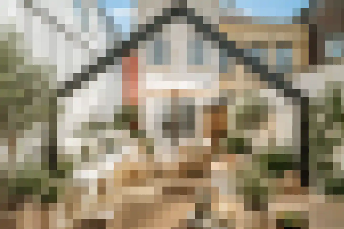 Nieuwe Markt 8 Deventer thumbnail 38