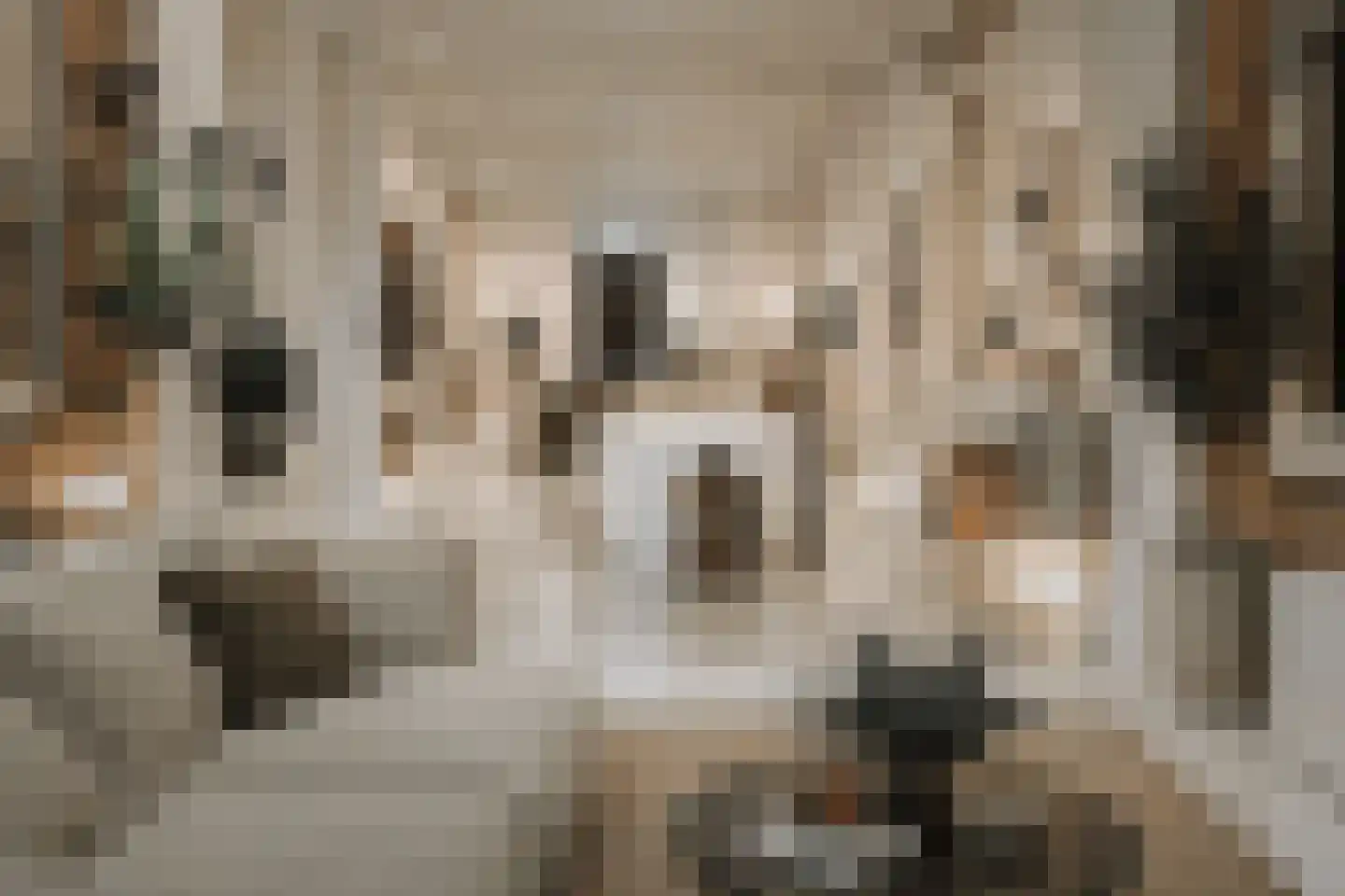 Nieuwe Markt 8 Deventer thumbnail 9