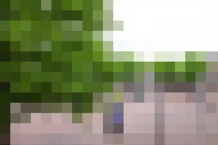 Nieuwe Markt 87 Gouda thumbnail 23