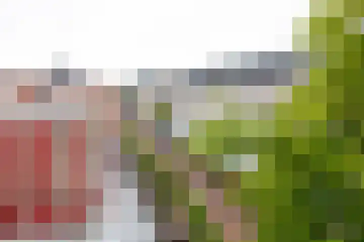 Nieuwe Markt 87 Gouda thumbnail 36