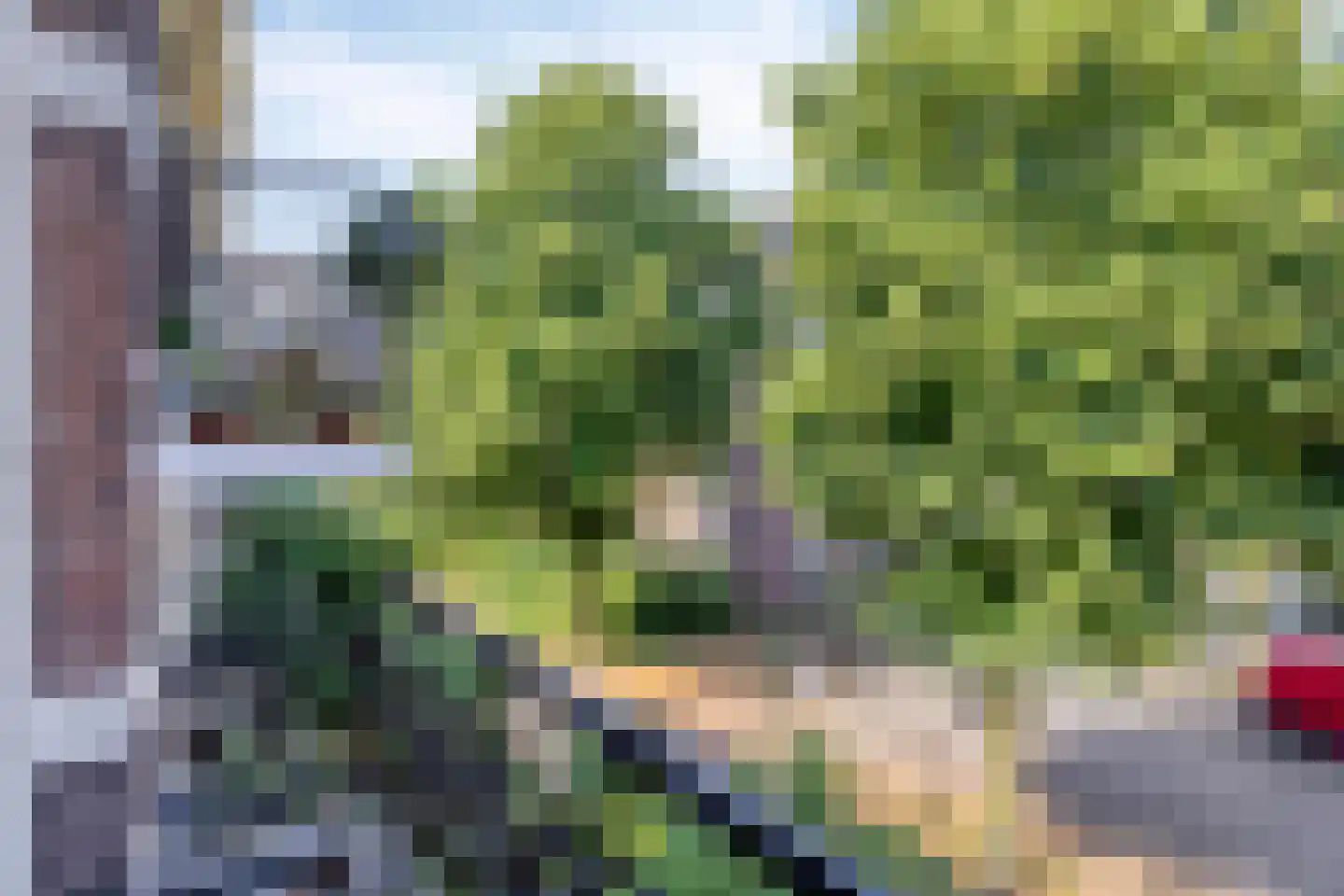 Nieuwe Markt 90 Nijmegen thumbnail 14