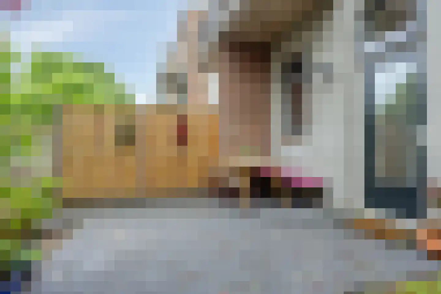 Nieuwe Markt 94 Nijmegen thumbnail 29